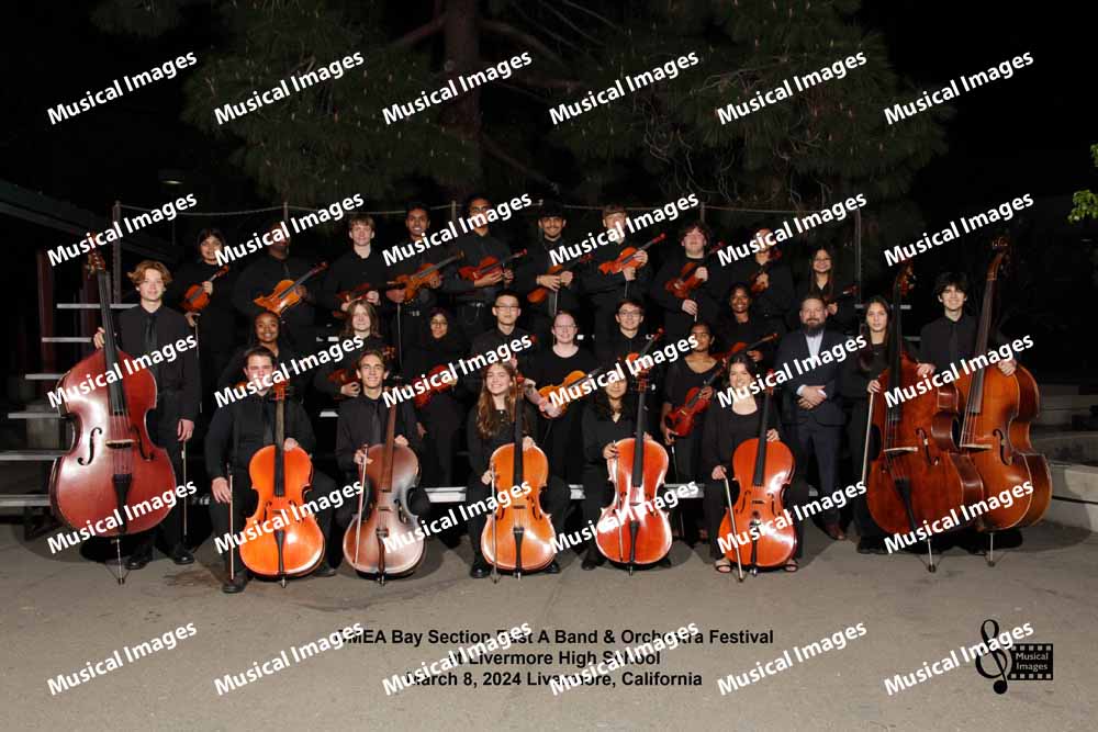 Musical Images